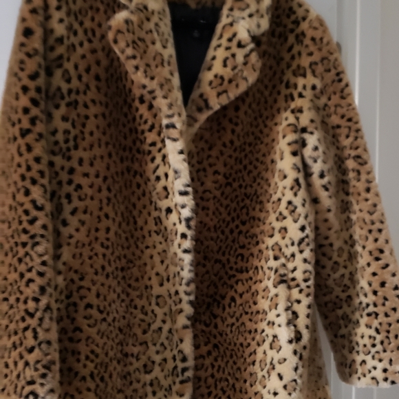 Coat - Picture 2 of 7